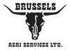 brussels